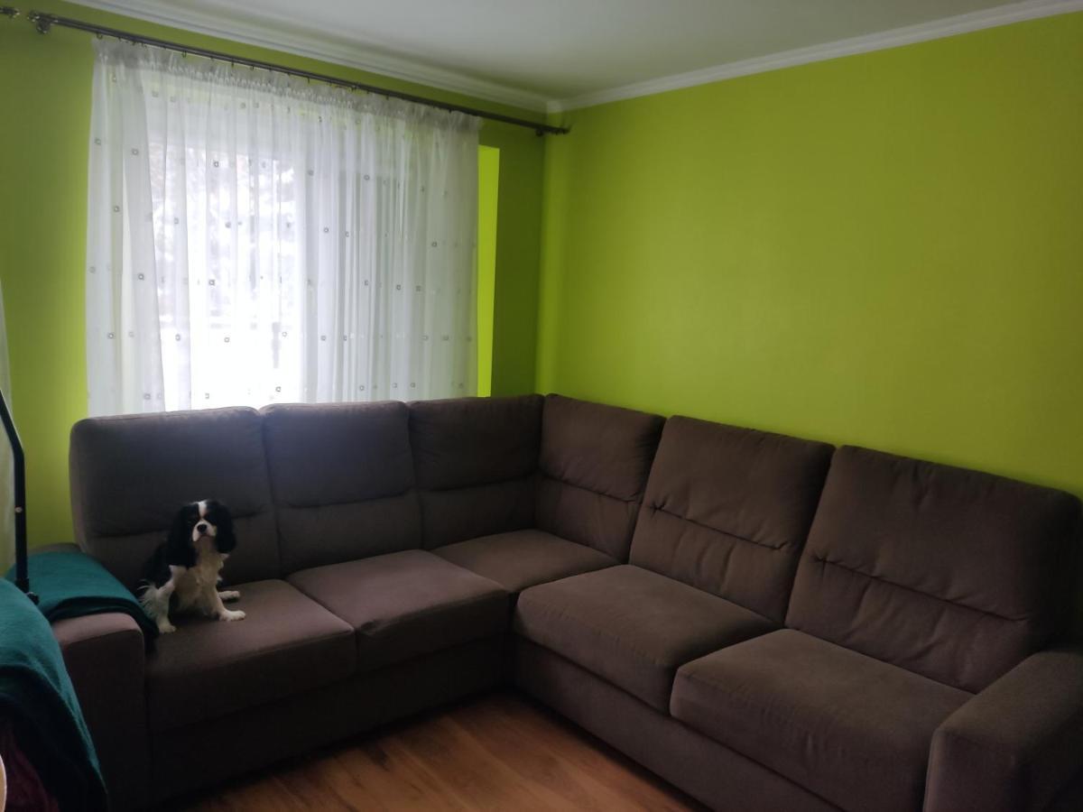 Przy Parku Apartment Jaroslaw Exterior photo
